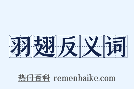 羽翅反义词是什么意思的图片
